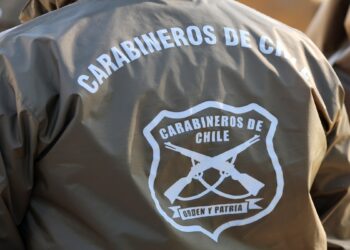 Detienen a dos personas en Maitencillo por maltrato a gaviotas