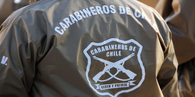 Detienen a dos personas en Maitencillo por maltrato a gaviotas