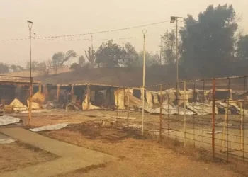 Gobierno confirma 16 fallecidos por incendios forestales en el Bío Bío y Ñuble