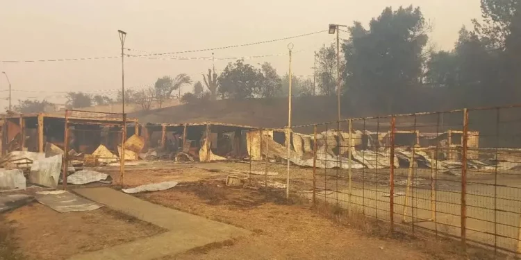 Gobierno confirma 16 fallecidos por incendios forestales en el Bío Bío y Ñuble