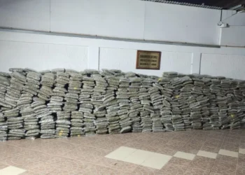 Golpe al narcotráfico en vísperas de Año Nuevo: decomisan 1.4 toneladas de droga en la Ruta 5