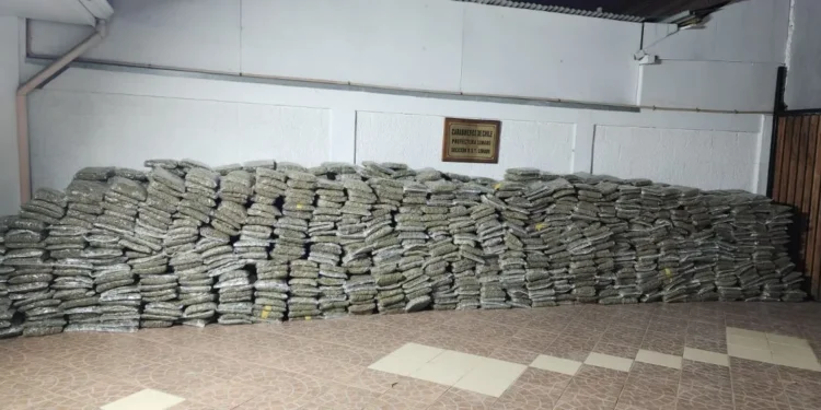 Golpe al narcotráfico en vísperas de Año Nuevo: decomisan 1.4 toneladas de droga en la Ruta 5