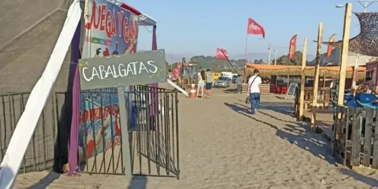 La Serena: infraccionan a quienes ofrecen cabalgatas en el borde costero