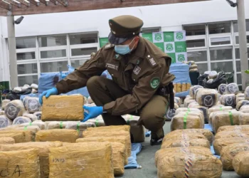 Más de 6 toneladas de droga y más de 500 detenidos por este tipo de delitos en la región