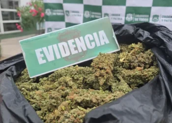 OS7 concreta millonario decomiso de drogas en el Valle del Elqui: hay un detenido
