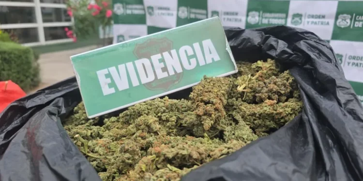 OS7 concreta millonario decomiso de drogas en el Valle del Elqui: hay un detenido