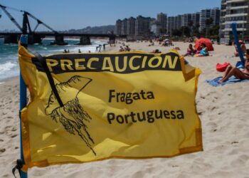 Por fragata portuguesa: Continúan cerradas playas de Cartagena, El Tabo y Santo Domingo