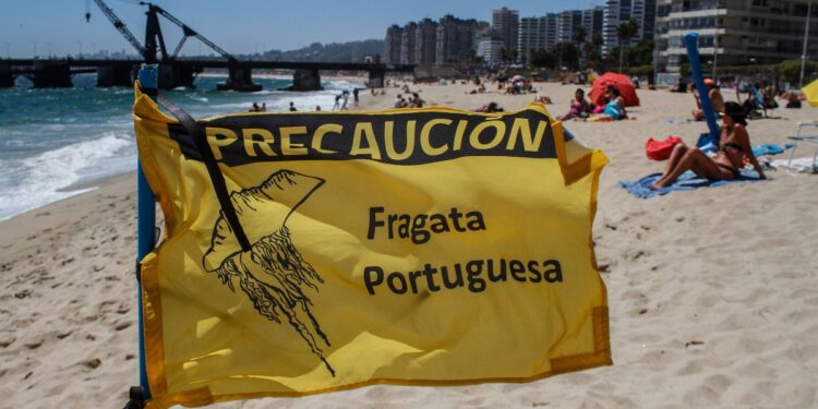 Por fragata portuguesa: Continúan cerradas playas de Cartagena, El Tabo y Santo Domingo