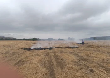 Quemas ilegales encienden alerta por incendios forestales