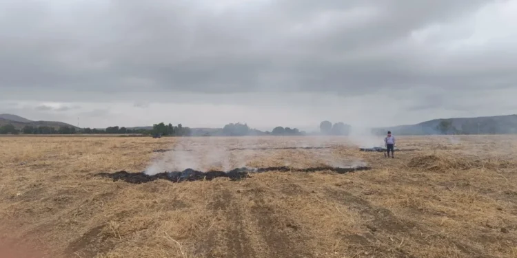 Quemas ilegales encienden alerta por incendios forestales