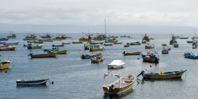 Seremi de Salud levanta prohibición por marea roja en la Bahía de Tongoy