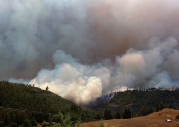 Valparaíso: Incendio forestal en Laguna Verde ha afectado al menos a tres casas
