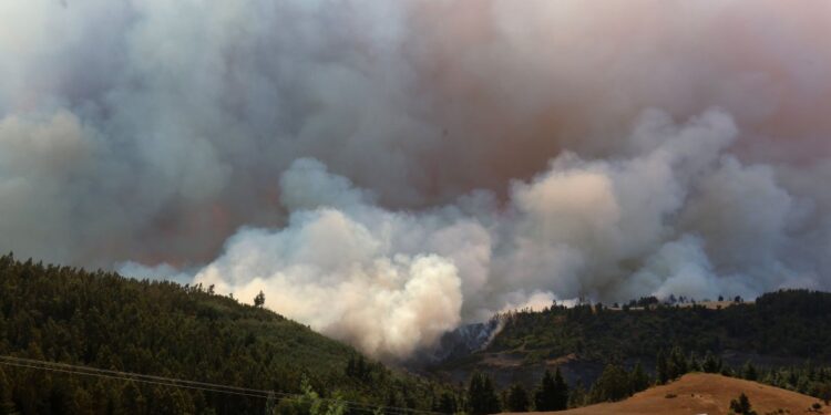 Valparaíso: Incendio forestal en Laguna Verde ha afectado al menos a tres casas
