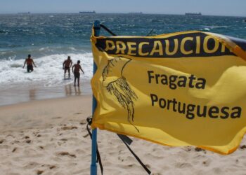 [Audio] Fragata portuguesa en Algarrobo: ¿Qué playas están abiertas?