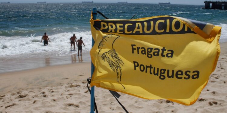 [Audio] Fragata portuguesa en Algarrobo: ¿Qué playas están abiertas?