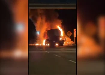 Choque entre camiones en la Ruta 5 termina con incendio y un conductor fallecido