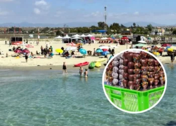 Claramente tóxico: Autoridad alerta por frutillas con chocolate que se venden en playas