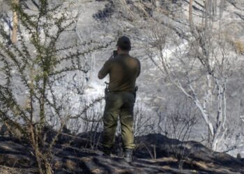 Incendio en Viña con riesgo de reactivación, mientras Concón y Limache siguen en alerta roja