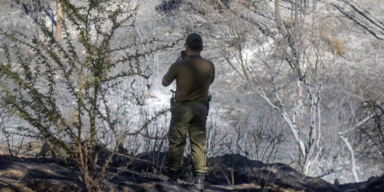 Incendio en Viña con riesgo de reactivación, mientras Concón y Limache siguen en alerta roja