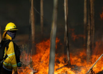 Incendio forestal en La Calera moviliza masivo despliegue de Conaf y Bomberos