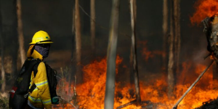 Incendio forestal en La Calera moviliza masivo despliegue de Conaf y Bomberos