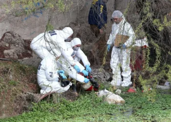 Radiografía delictiva: Delitos suben 15,8% en 2025 y bajan los homicidios