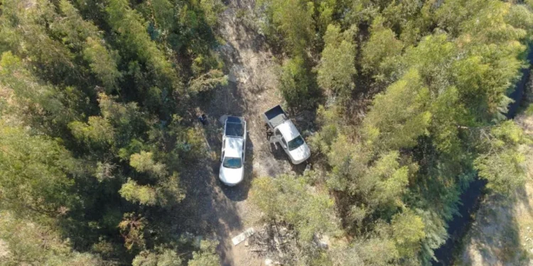 Recuperan camioneta robada y escondida en un bosque de Algarrobito en La Serena