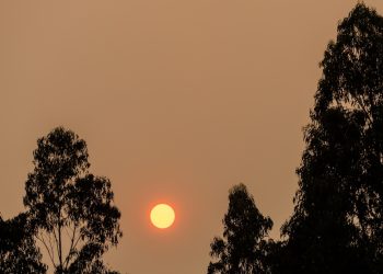 Bomberos y Conaf combaten incendio forestal en Quilpué
