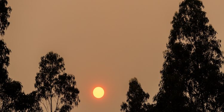 Bomberos y Conaf combaten incendio forestal en Quilpué
