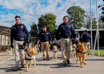 Buscan agentes policiales para la PDI: Revisa los requisitos para postular