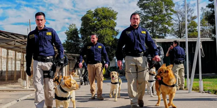 Buscan agentes policiales para la PDI: Revisa los requisitos para postular