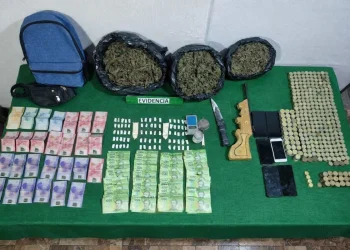 Detienen a sujeto por tráfico de drogas y porte de arma blanca en El Palqui