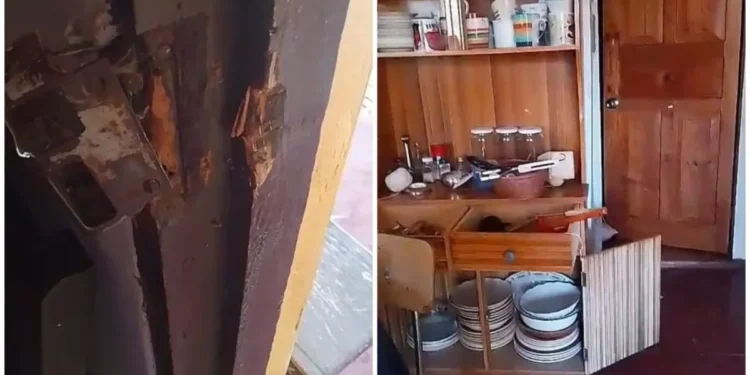 “Estamos totalmente desprotegidos”: vecinos alertan tras violento robo en El Palqui