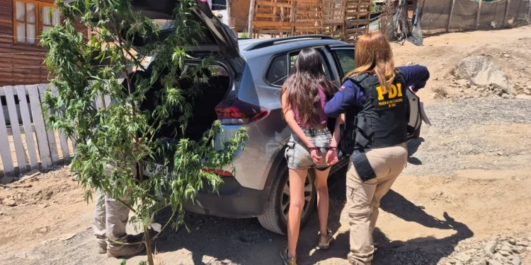 Más de un centenar de detenidos deja operativo policial en la región