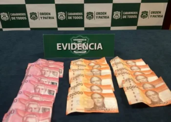 Ofreció $800 mil: Detienen a mujer que intentó sobornar a carabineros para evitar multa