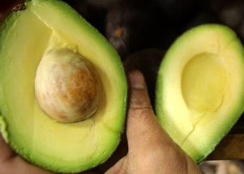 Quillota: Cuidador mató un ladrón de paltas