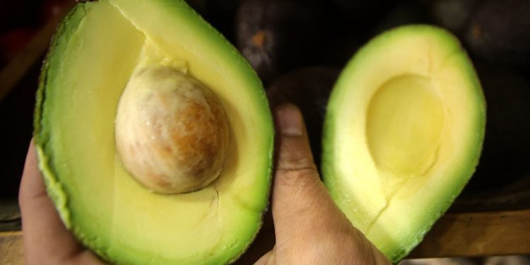 Quillota: Cuidador mató un ladrón de paltas