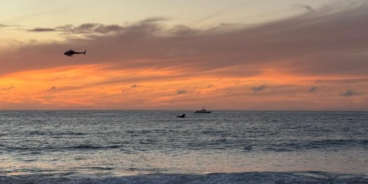 Tragedia: Cuatro personas murieron en Algarrobo intentando rescatar a niña que cayó al mar